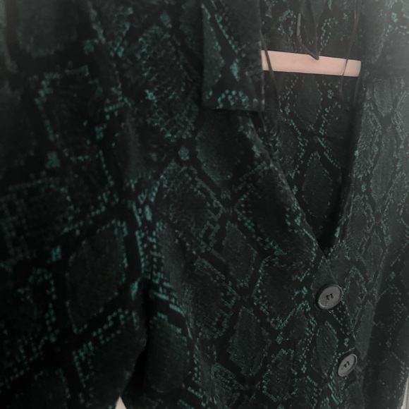Zara Green Snake Print Long Sleeve Dress - Picture 6 of 10